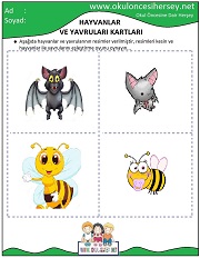 Hayvanlar ve Yavruları Eğitici Kartları